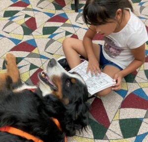 A child sitting on the floor reads from a comic-style book to a Bernese mountain dog therapy dog who is lying with her head on the child's feet.