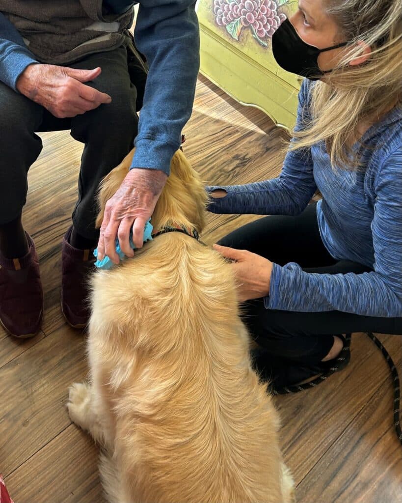 A senior adult brushes a golden retriever therapy dog while talking with the handler. Photo provided by Jennifer Lager.