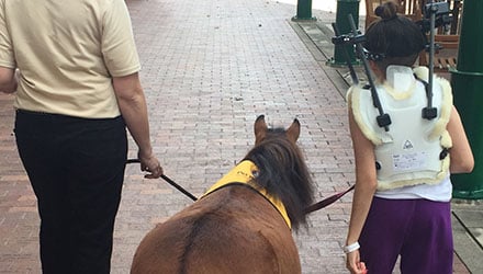 Mini horse and handler walking with a young woman with a shoulder and neck brace.