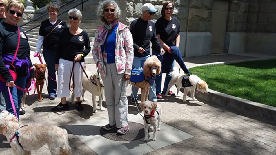 Community Partner group members and their dogs walk down a sidewalk.
