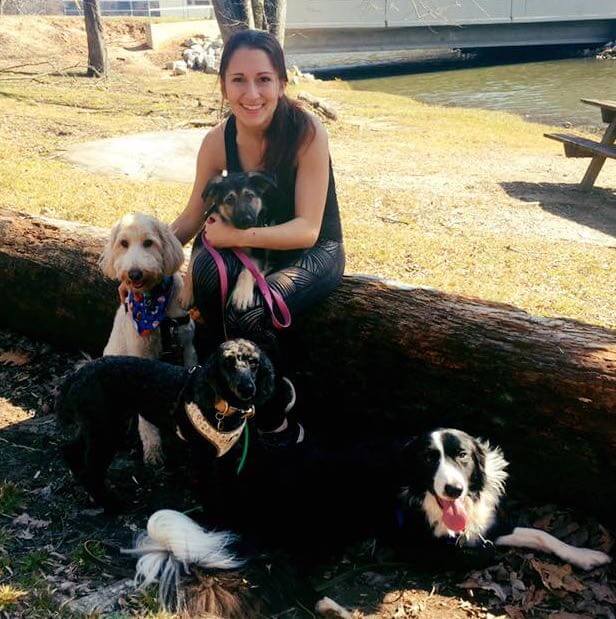 Taylor Chastain Griffin, PhD with Bronx, Ivy, Rex, & Harlem