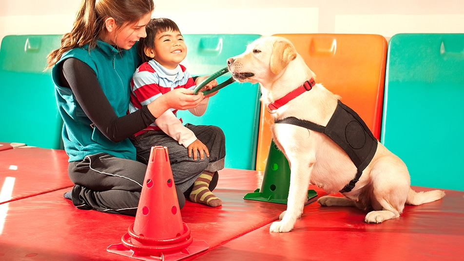 A woman holds a young child as she encourages his interaction with a dog.