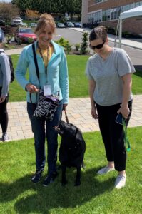 A therapy dog handler and her lack Lab therapy dog stand next to a school staff member on the school lawn.