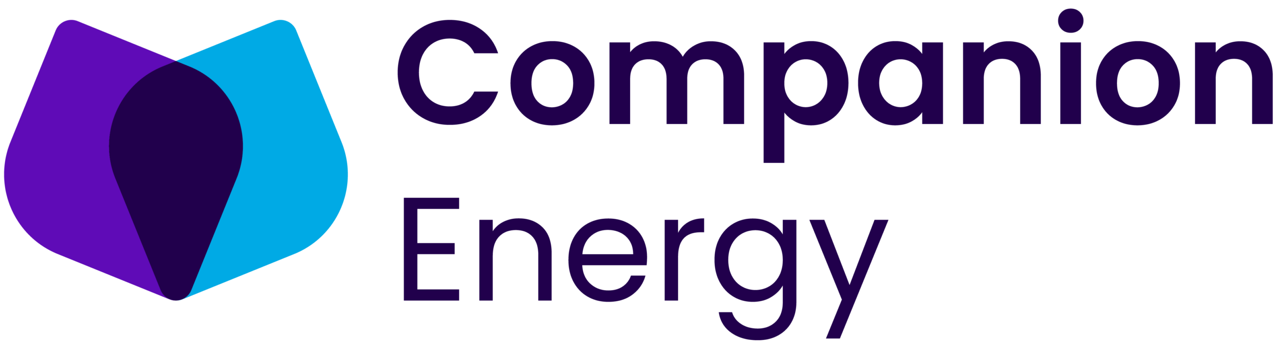 Companion Energy