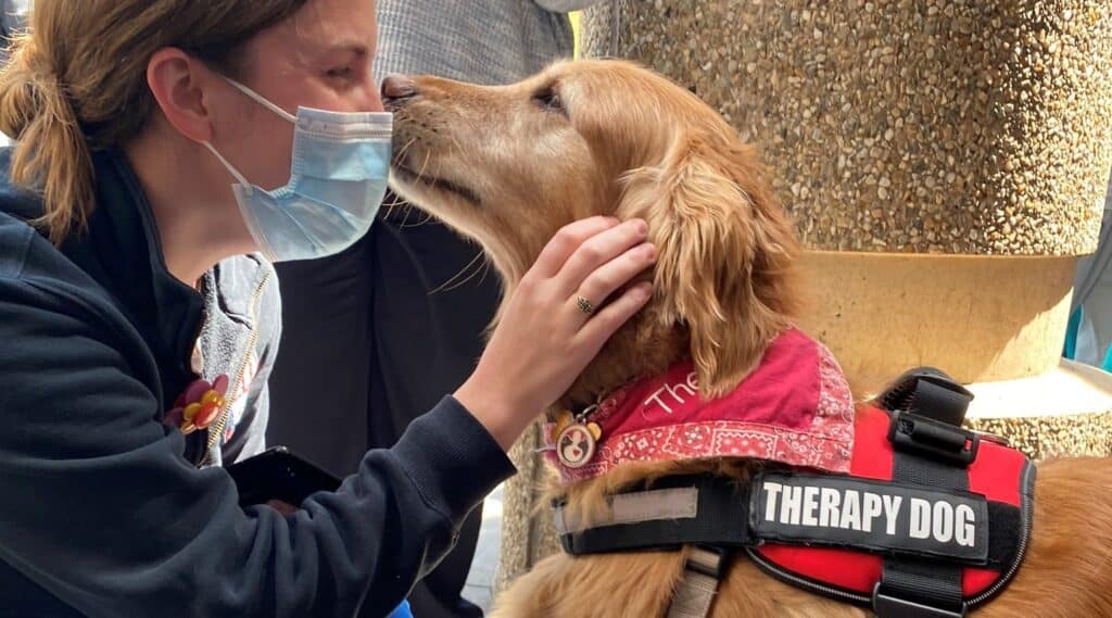 A masked healthcare worker visits with a therapy dog