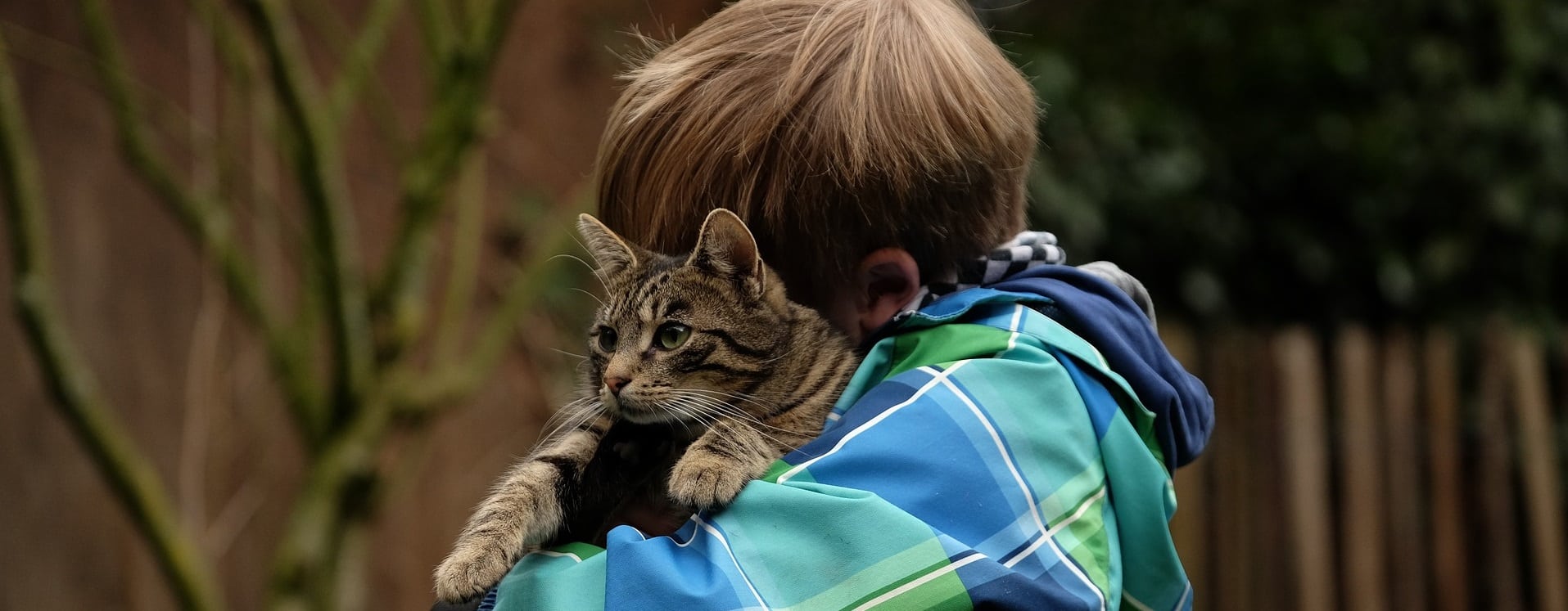 Child in blue and green sweatshirt hugging a cat. Image by Westfale from Pixabay.