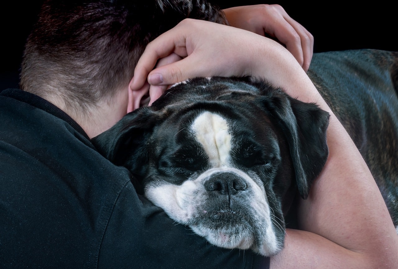 Animal-Assisted Interventions and PTSD