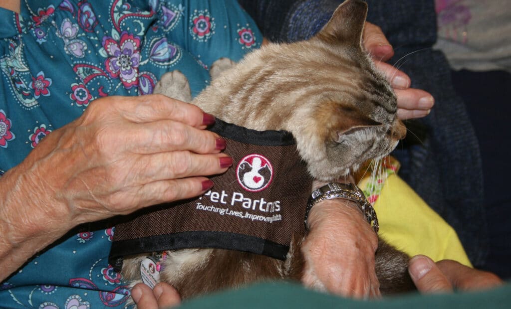 Pet Partners therapy cat