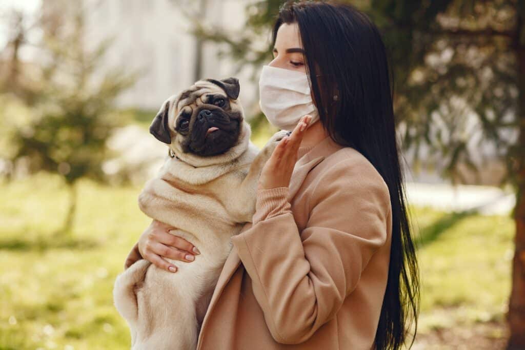 Woman in beige sweater wearing a face mask and holding a pug. Photo by Gustavo Fring from Pexels