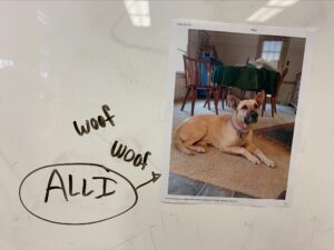 A white board with a photo of a mixed-breed dog taped to it, and the words "Woof woof" and "Alli" written next to the photo.
