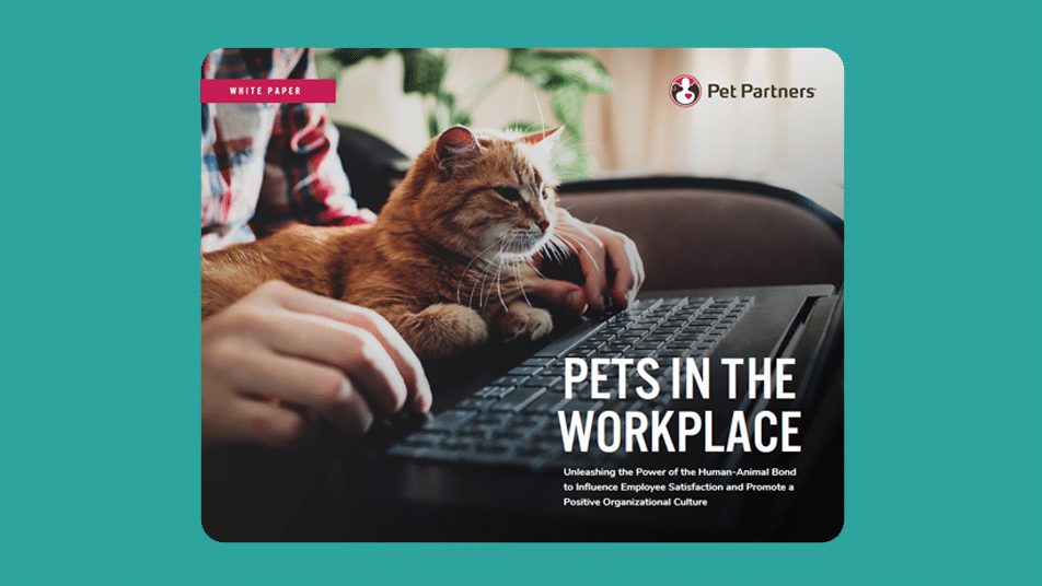 Pets in the Workplace white paper cover.