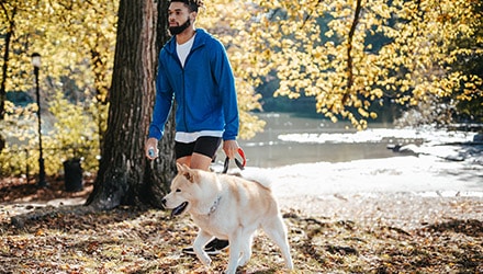 A man takes a walk outside with a tan dog.