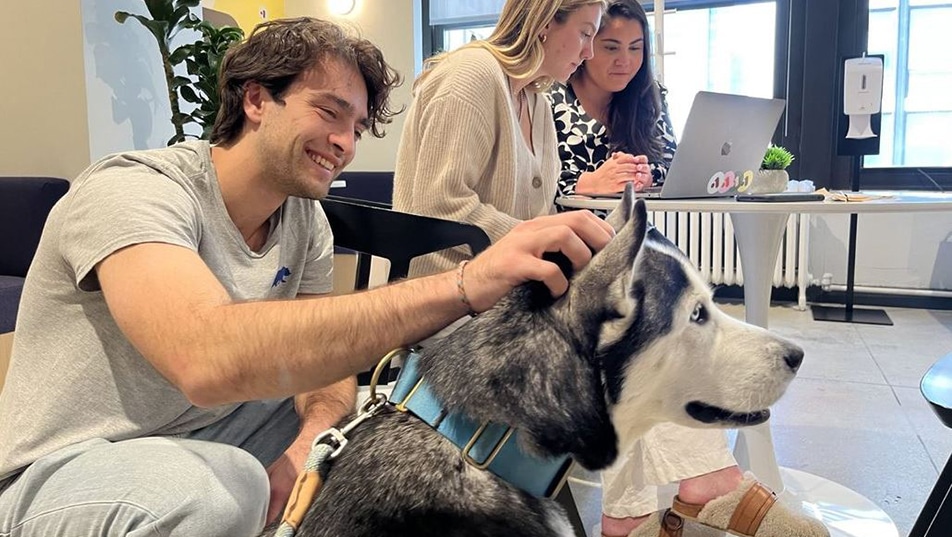 A man smiles as he pets a therapy Husky as 2 women work at a laptop in the background.