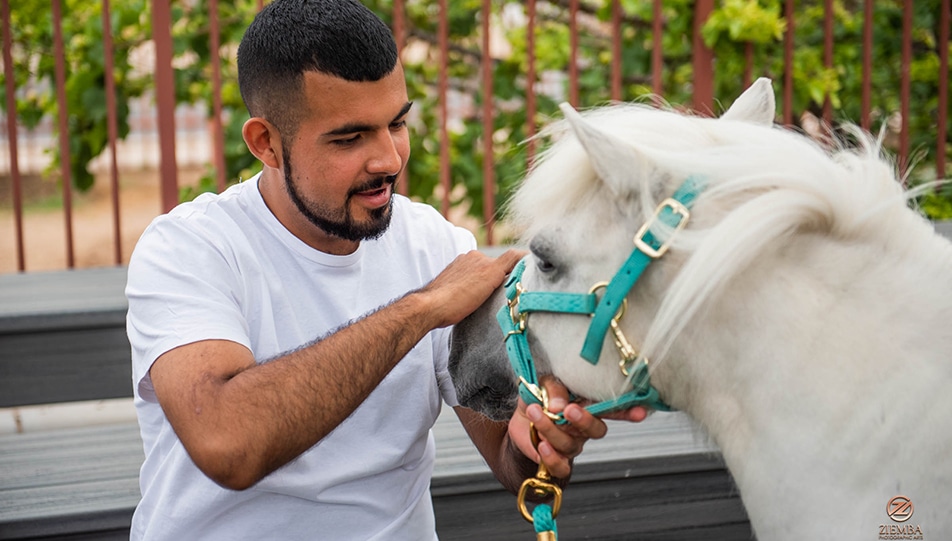 A man pets a mini horse during a therapy animal visit.