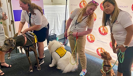 Pet Night on Capitol Hill events with 3 Pet Partners therapy dog teams pictured.