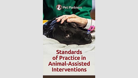 Standards of Practice in AAI cover