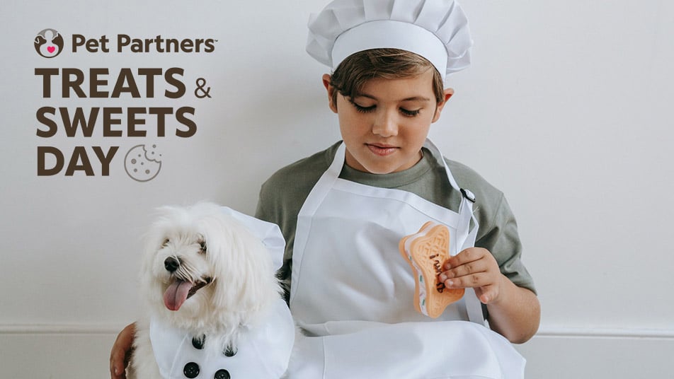 Image of a young boy with a chef's hat on, holding a cookie sits next to a white dog.