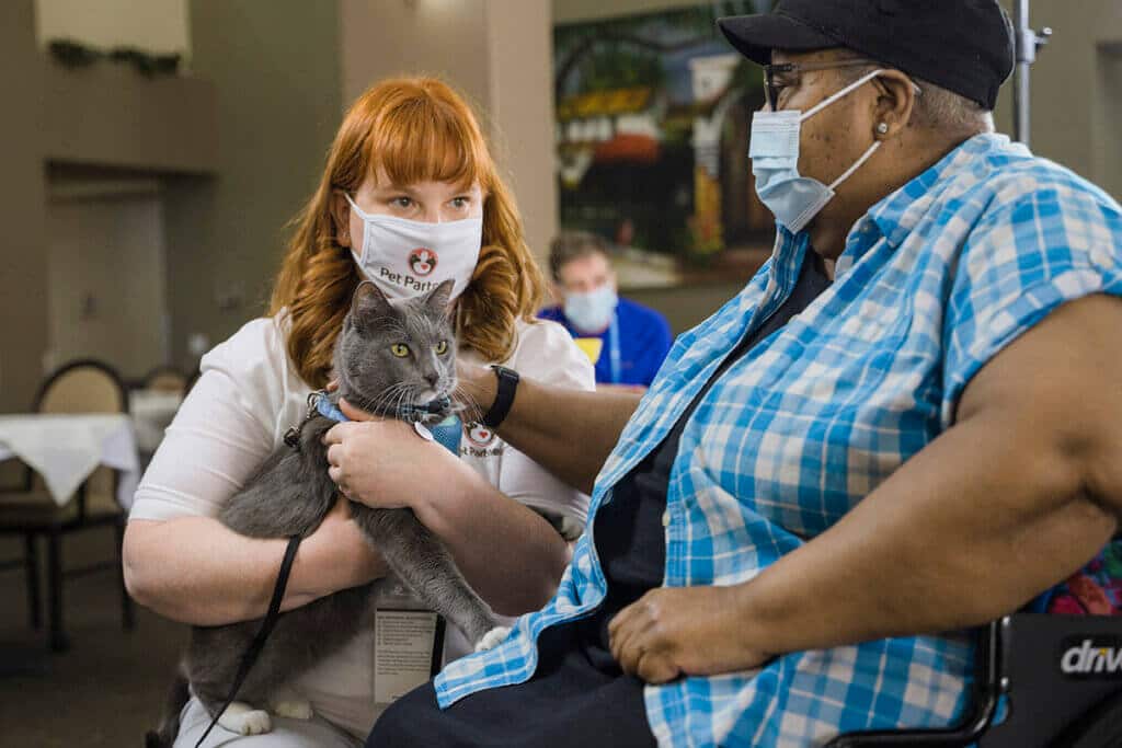A therapy cat team visits with a woman at a local facility.