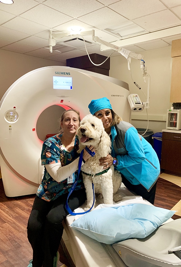 Pet Partners therapy dog with medical staff near CT scan machine.