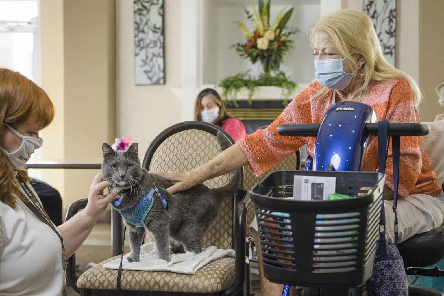 Cat Chow Partnership Pet Partners(00)