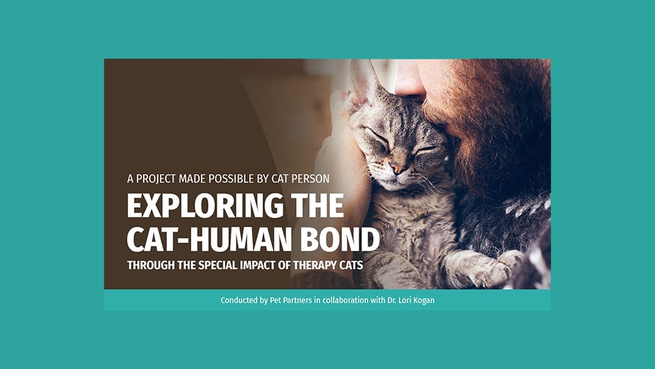 Cover of Exploring the Human-Cat Bond white paper.