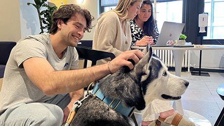 A man in an office pets a husky on the head.