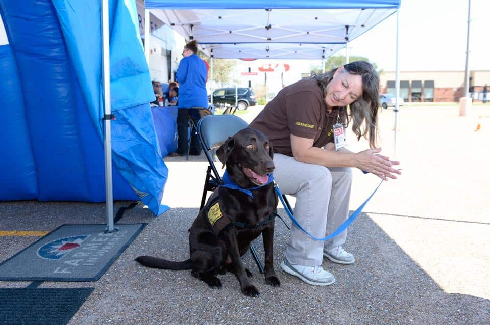 A Pet Partners therapy dog team waits to interact with people affected by Hurricane Harvey in Victoria, TX in 2017