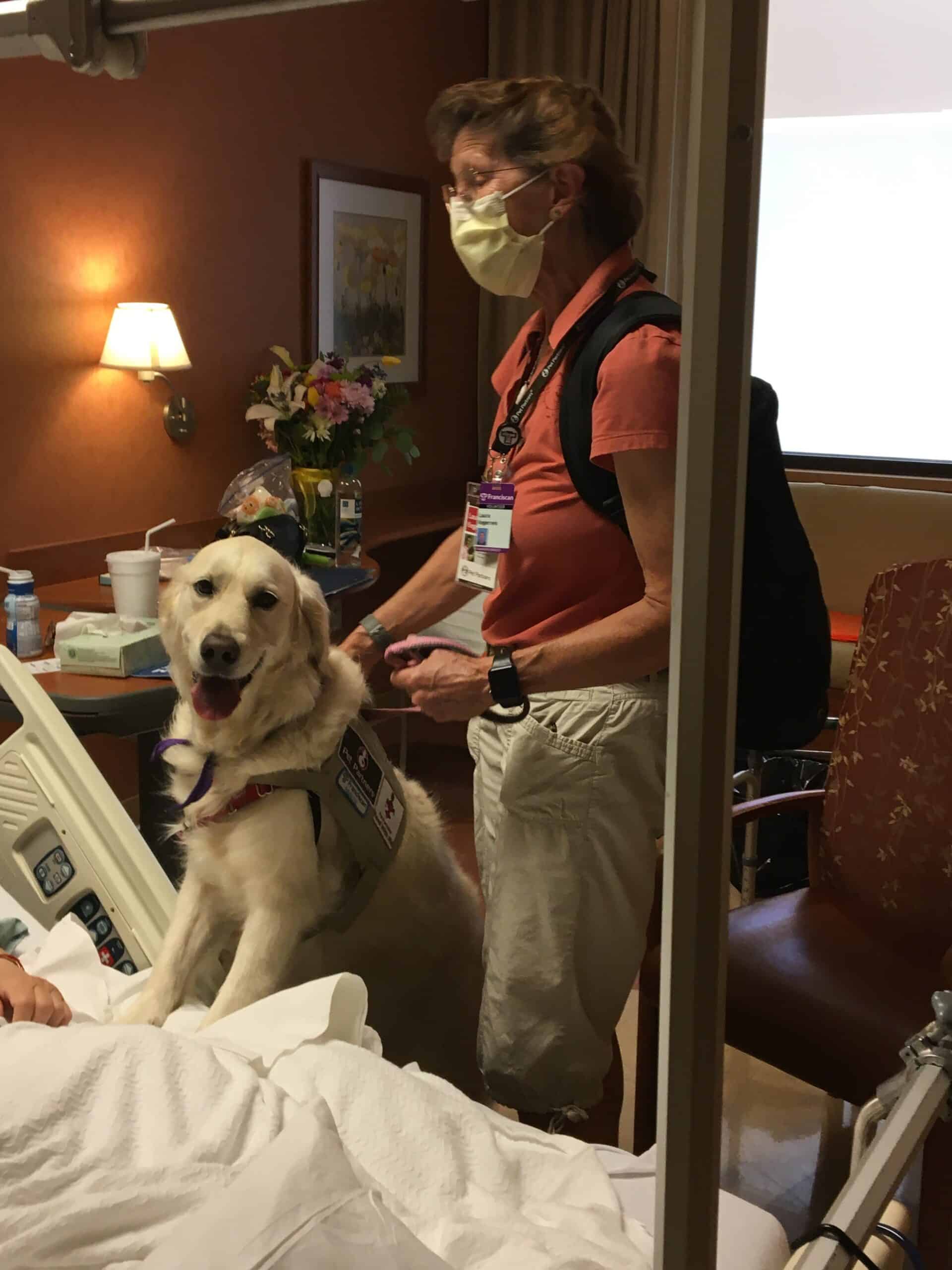 A therapy dog team visit with a patient in a hospital.