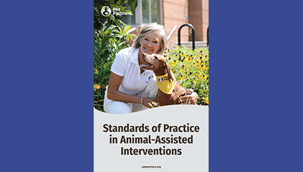 Standards of Practice in AAI cover.