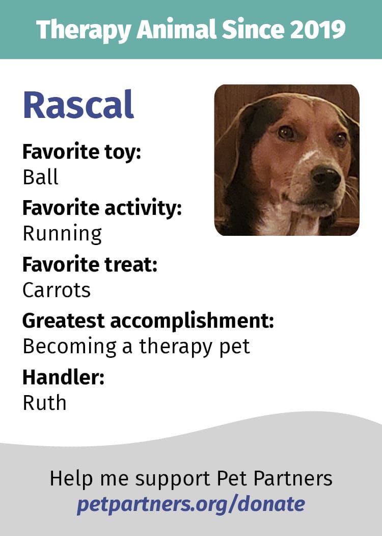 A Pet Partners trading card sample image.