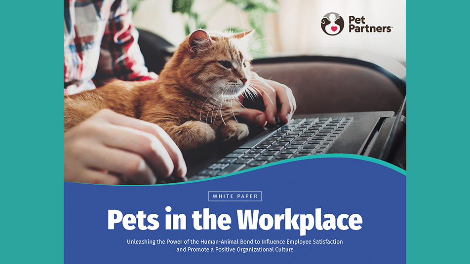Cover of Pets in the Workplace white paper.