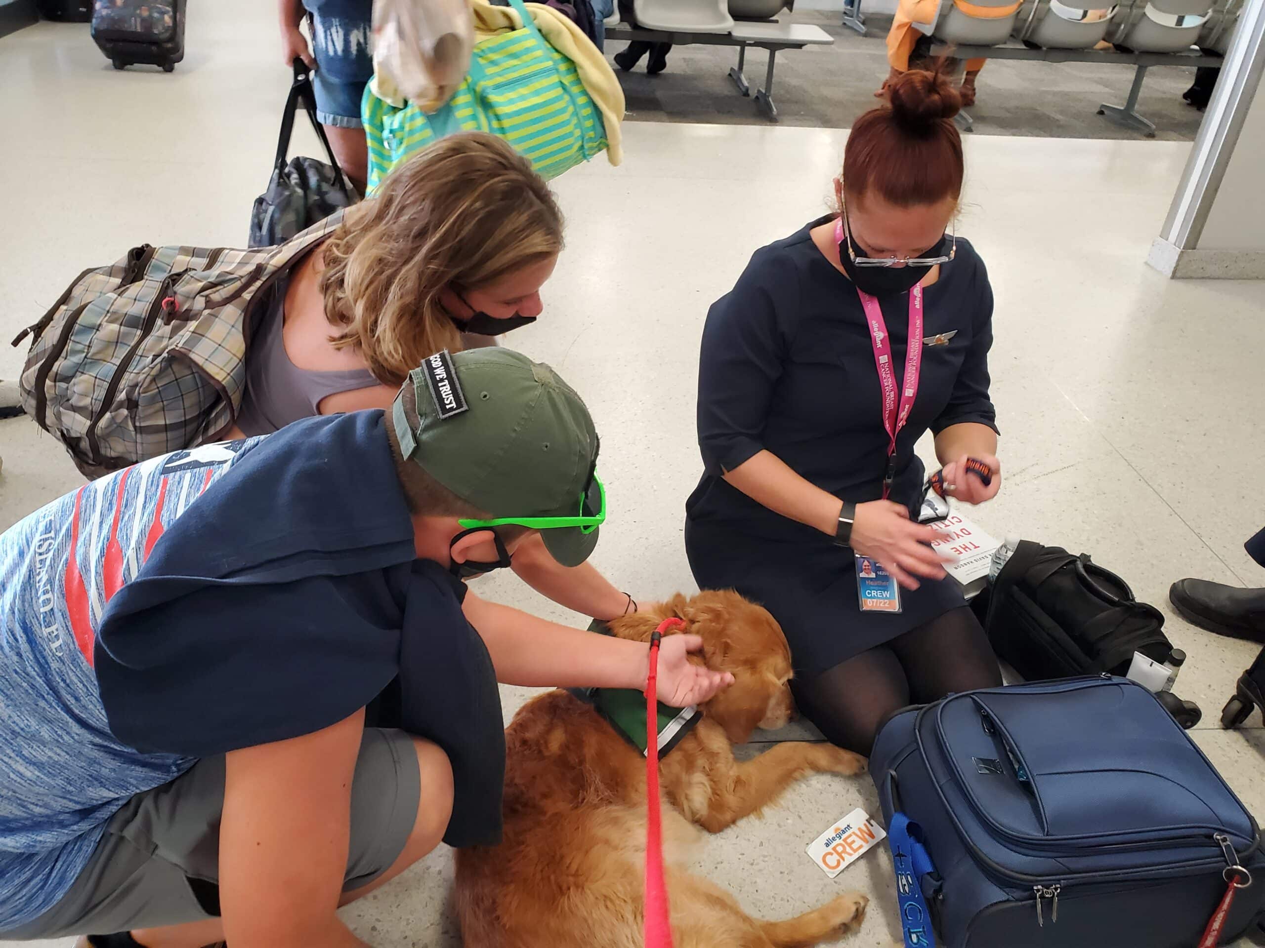 A therapy dog receives pets during a visit at the airport.