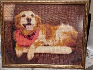A needlepoint of a deceased therapy animal dog.