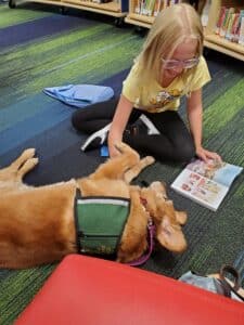 Jill Spica, a Pet Partners therapy dog relaxes while a child reads to her.