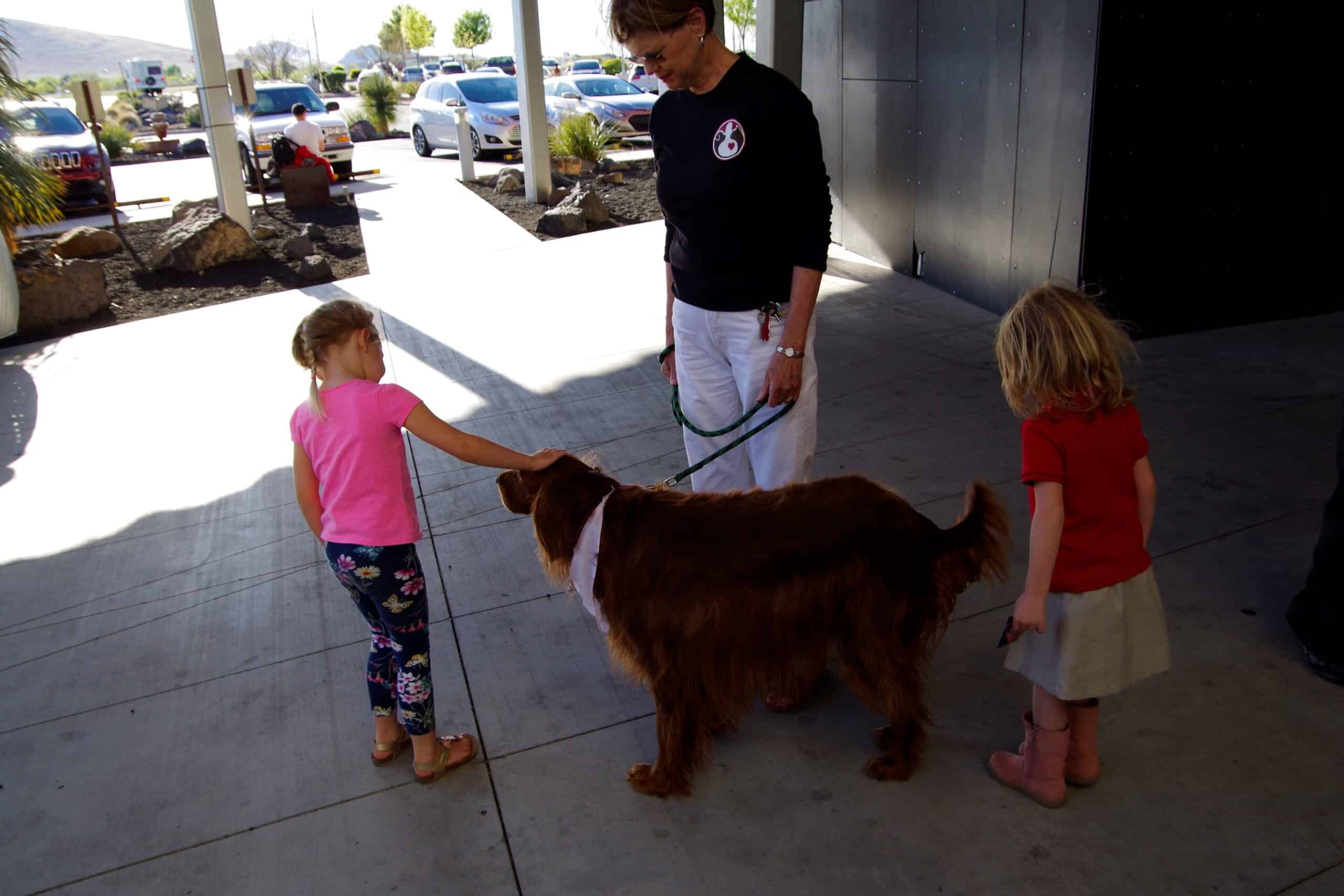 Megan Zdanowicz, a Pet Partners therapy dog receives pets form children during a visit.