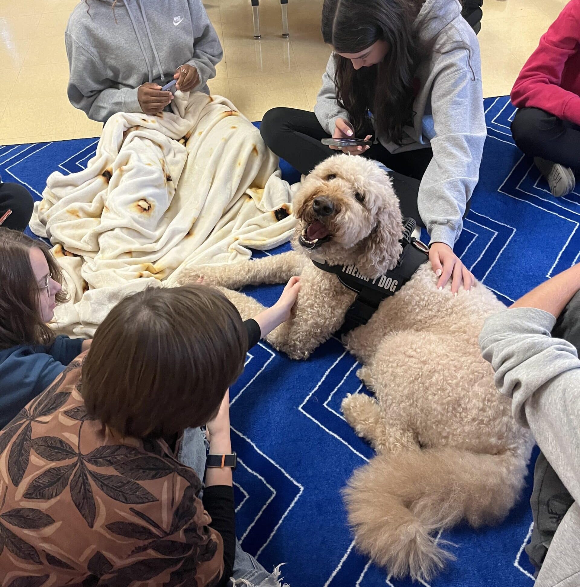 therapy dog on a visit at a school