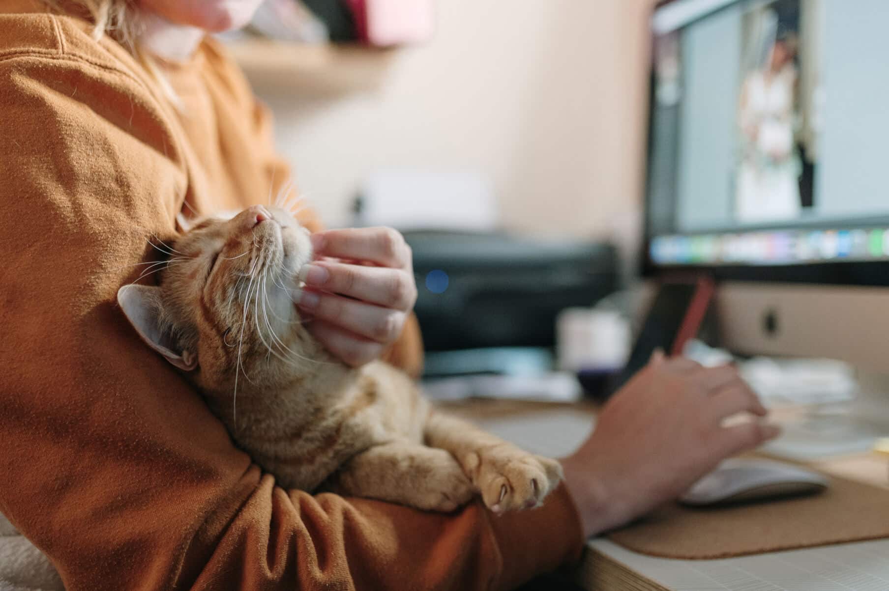 Woman petting a cat at a desk