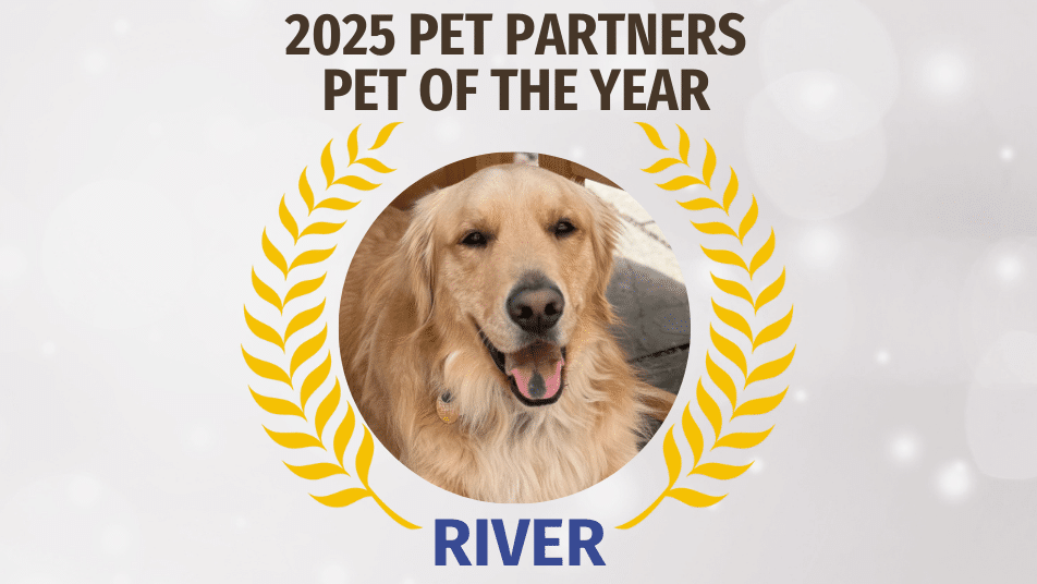Golden Retriever River, 2025 Pet Partners Pet of the Year, framed by gold laurels on a white background with celebratory text above.