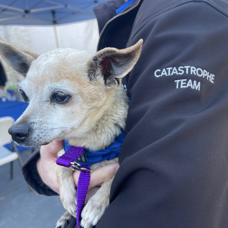 https://petpartners.org/wp-content/uploads/2025/07/AACR-Circle-Photo.png