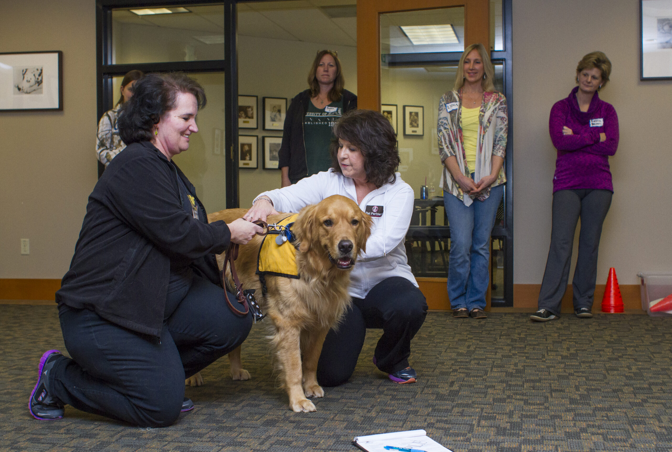 Example of Pet Partners Therapy Dog Traditional Evaluation