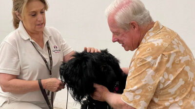 Male Volunteer and Black Therapy Dog Complete Traditional Evaluation