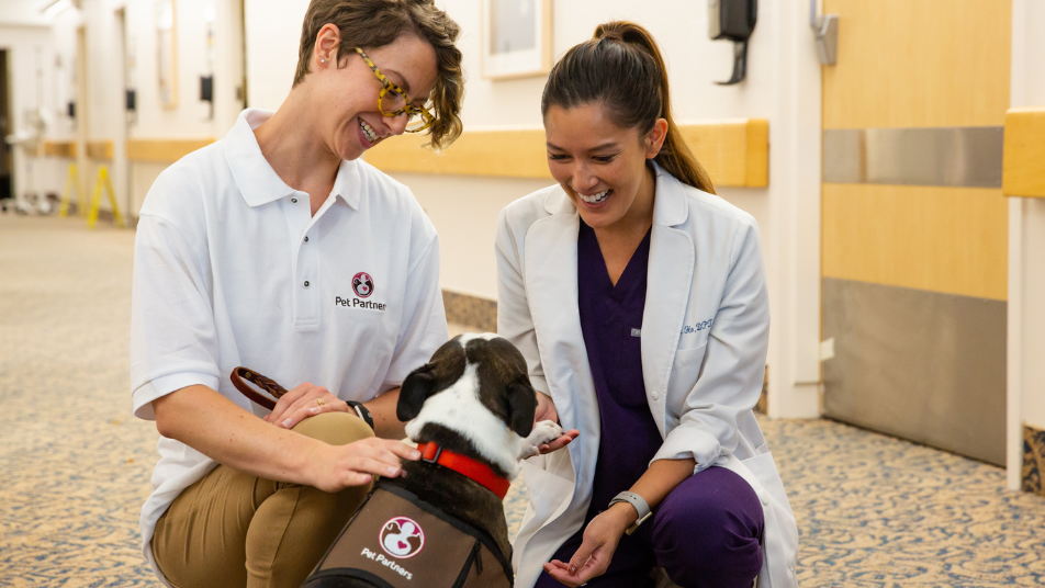 Pet Partners and Covista Foundation Partner to Support Healthcare Worker Well-Being Through Therapy Animal Visits
